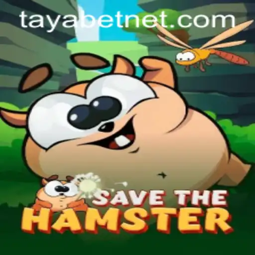 SavetheHamster: Unveiling the Intriguing World of TAYABET